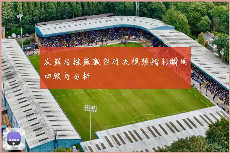灰熊与棕熊激烈对决视频精彩瞬间回顾与分析